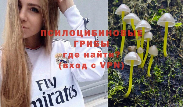 марки lsd Бугульма