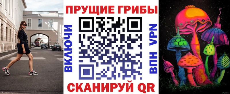сколько стоит  Грязи  Галлюциногенные грибы мицелий 